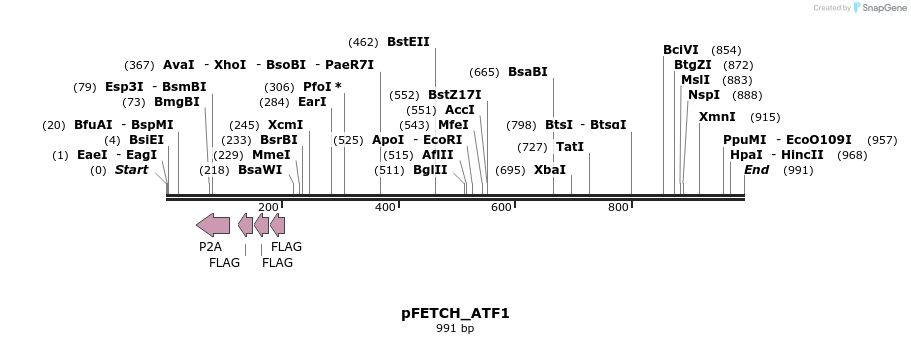 112968_map