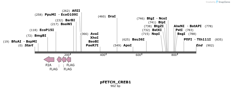 112975_map