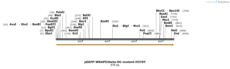 112979_map