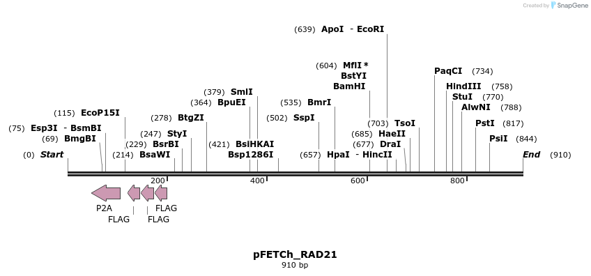 112982_map