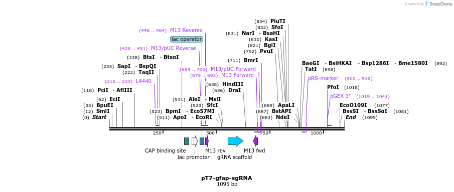 112987_map