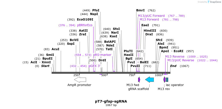 112988_map