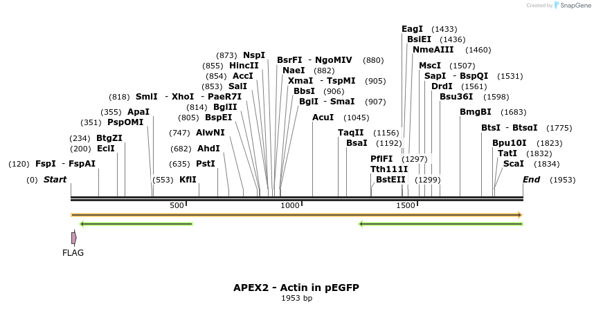 112994_map