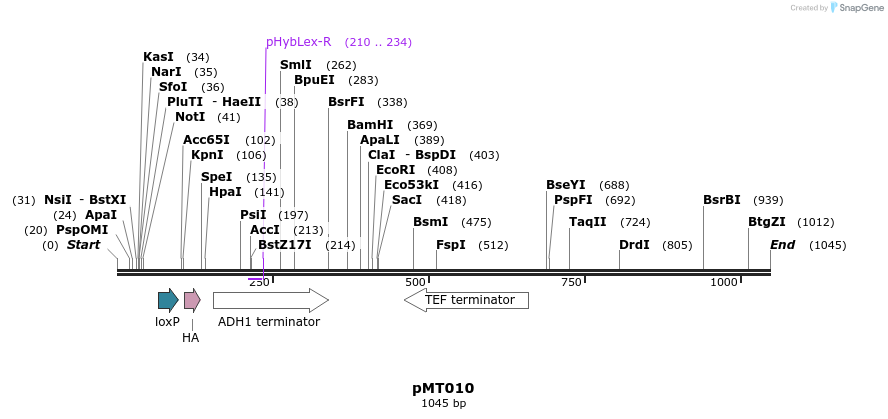 112998_map