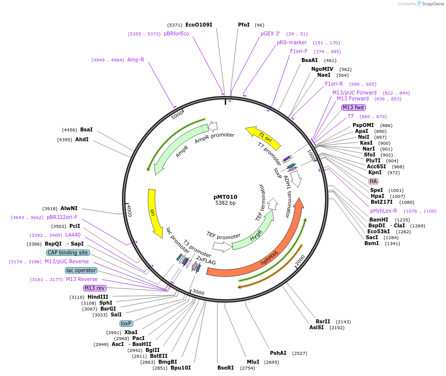 112999_map