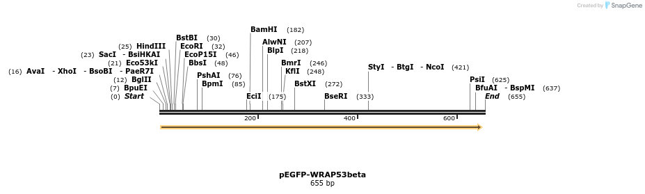 113003_map