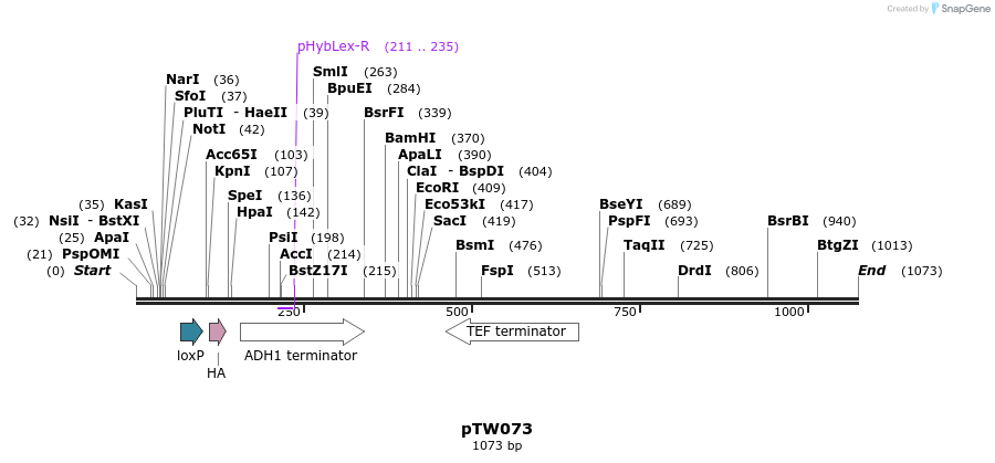 113004_map