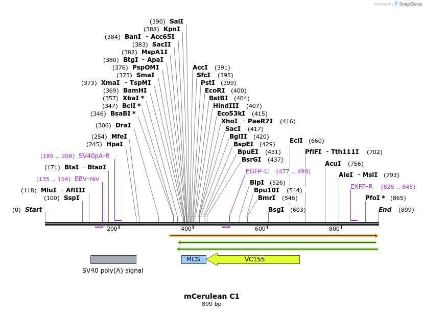 113009_map