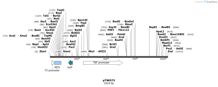 113010_map