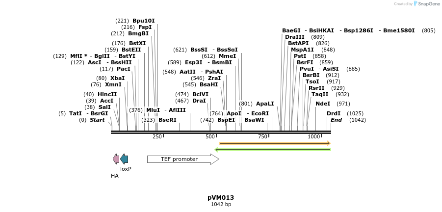 113016_map