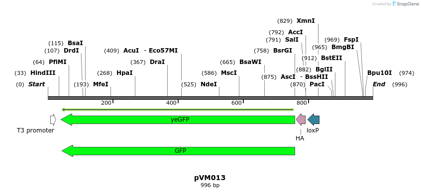 113017_map