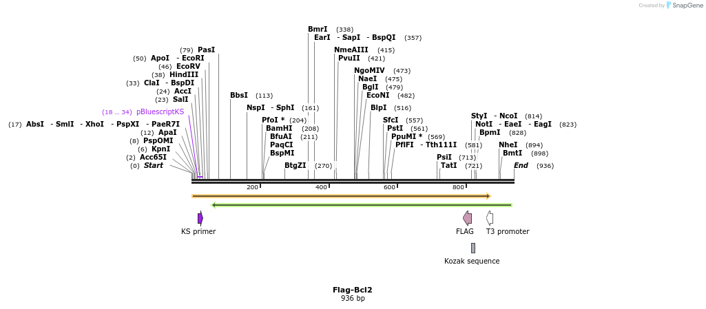 113026_map
