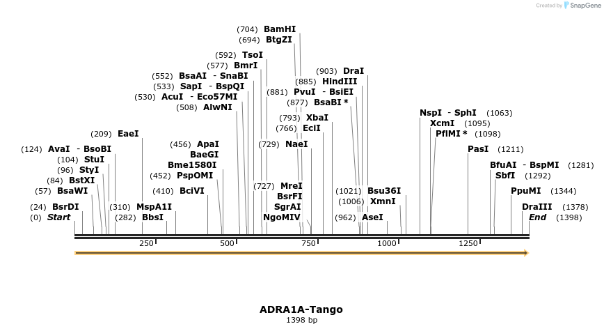 113040_map