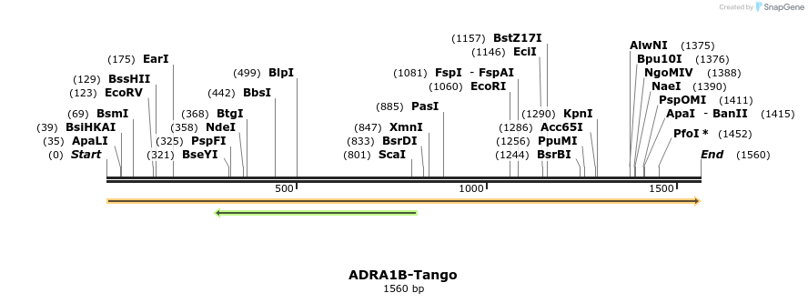 113042_map