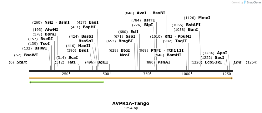 113064_map