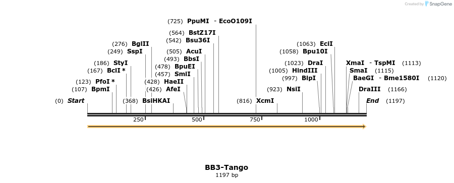 113070_map