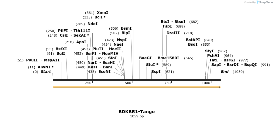 113072_map