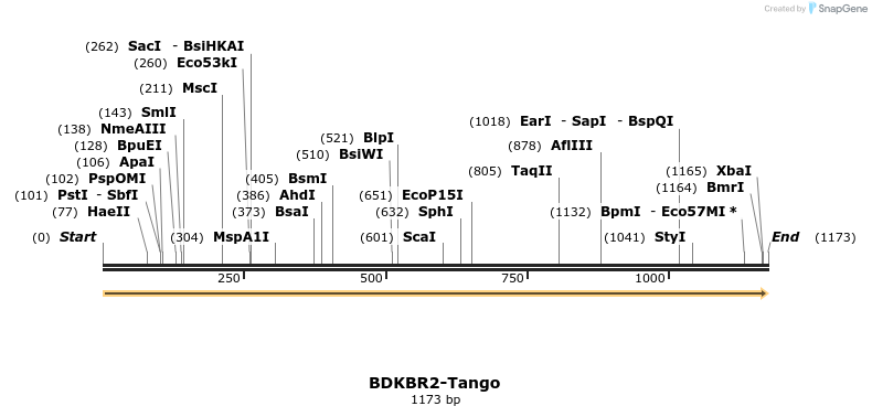 113074_map