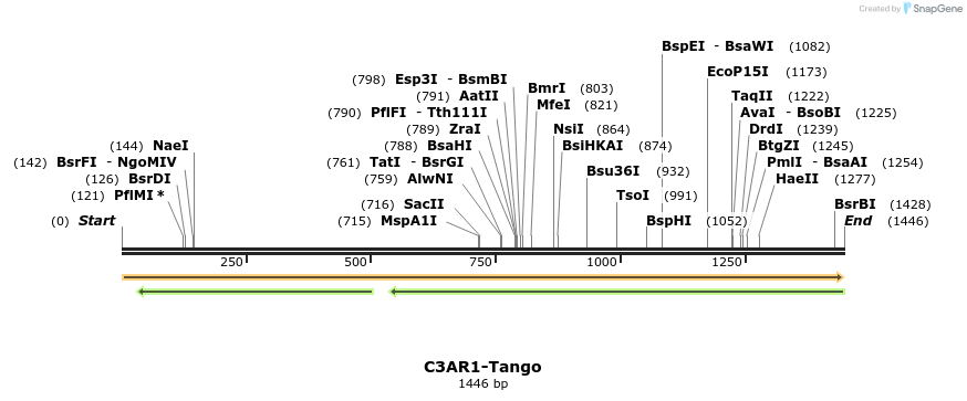 113076_map