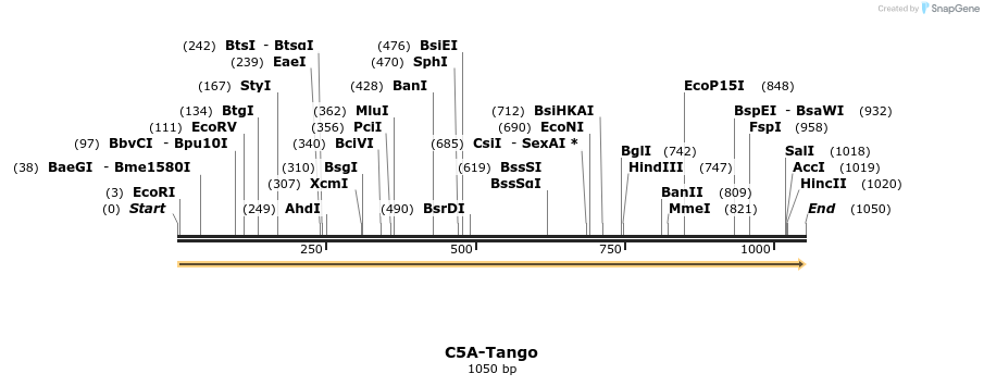 113078_map