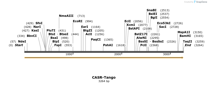 113084_map