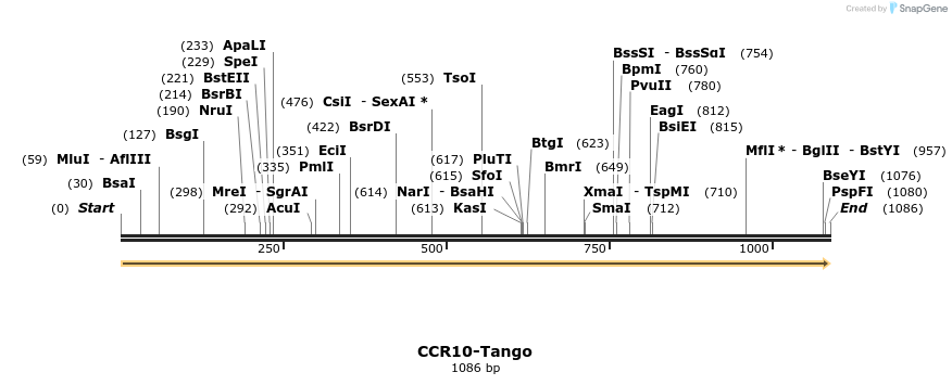 113090_map