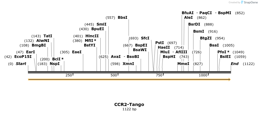113092_map