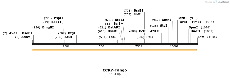 113102_map