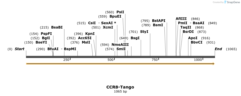 113104_map
