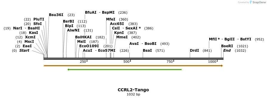 113106_map