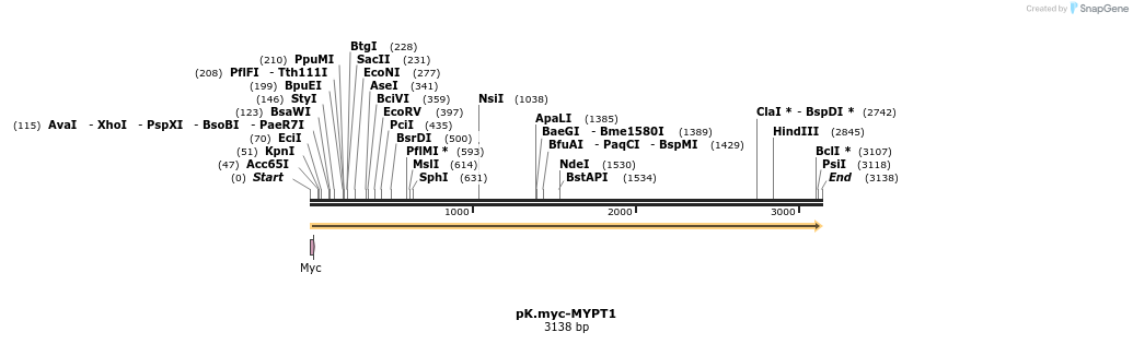11311_map