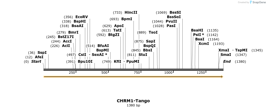 113110_map