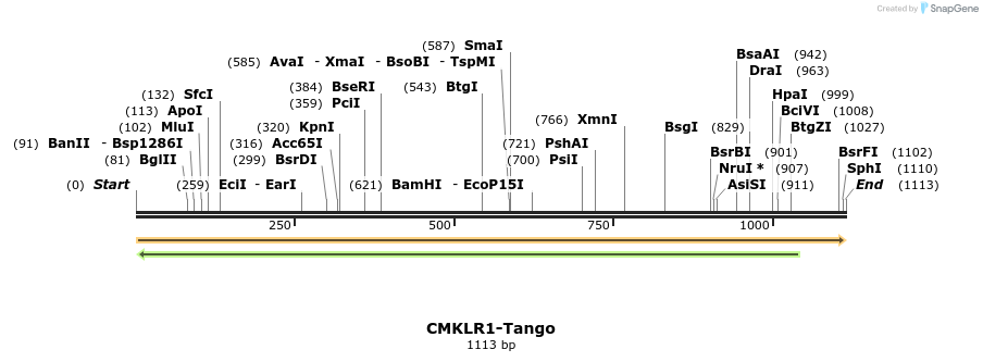 113120_map