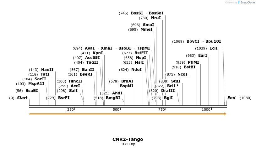 113124_map