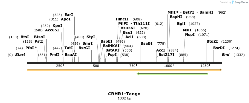 113126_map