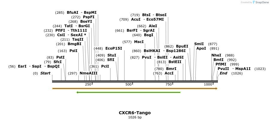 113142_map