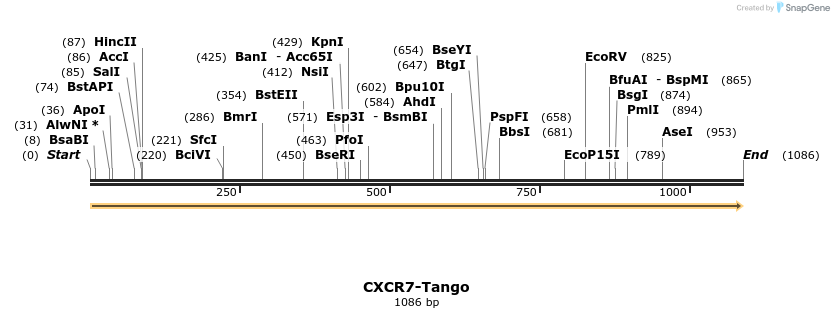 113144_map
