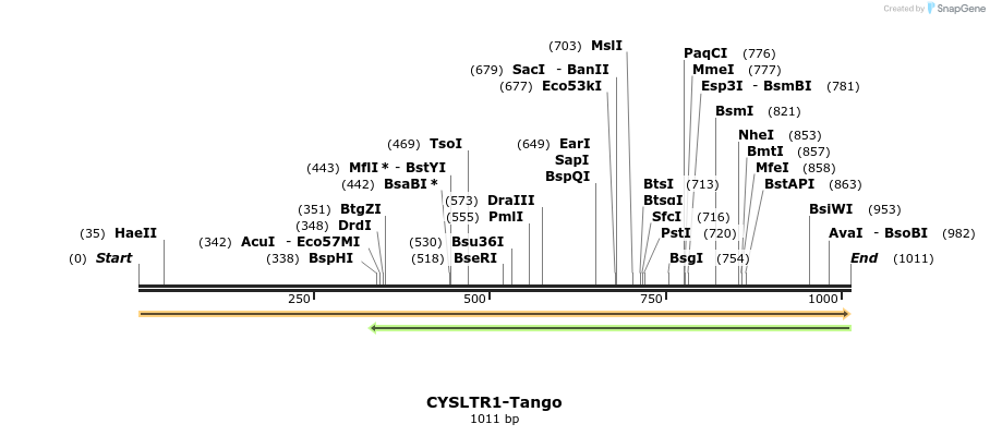 113146_map