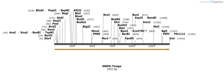 113158_map