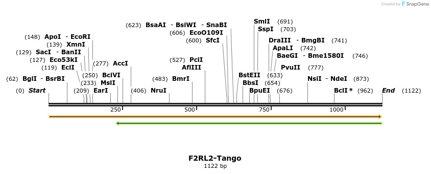 113170_map