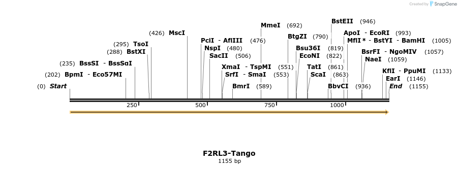 113172_map