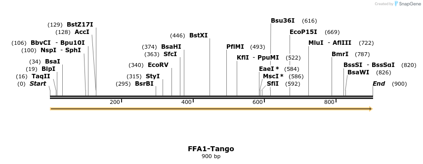 113174_map