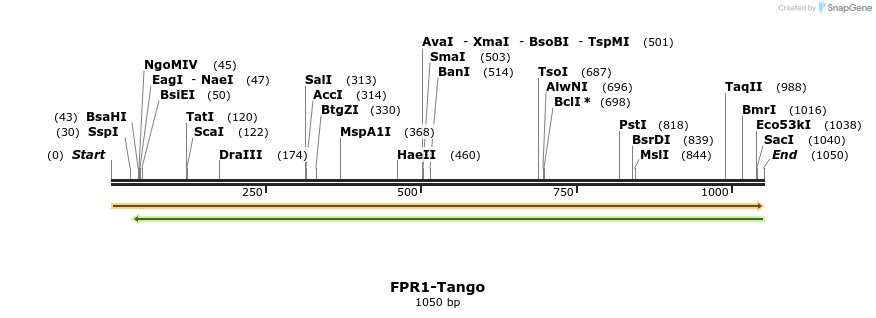 113180_map