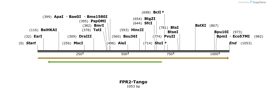 113182_map