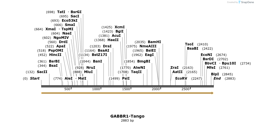 113188_map