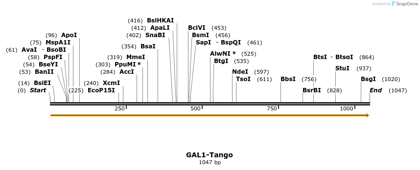 113190_map