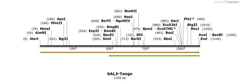 113194_map