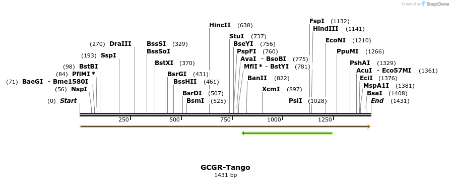 113196_map