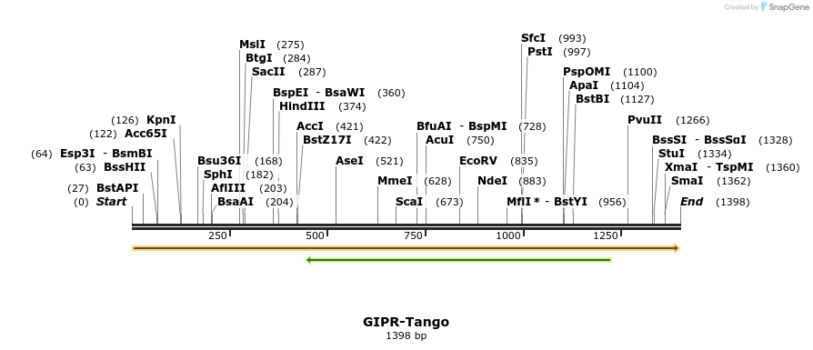 113202_map