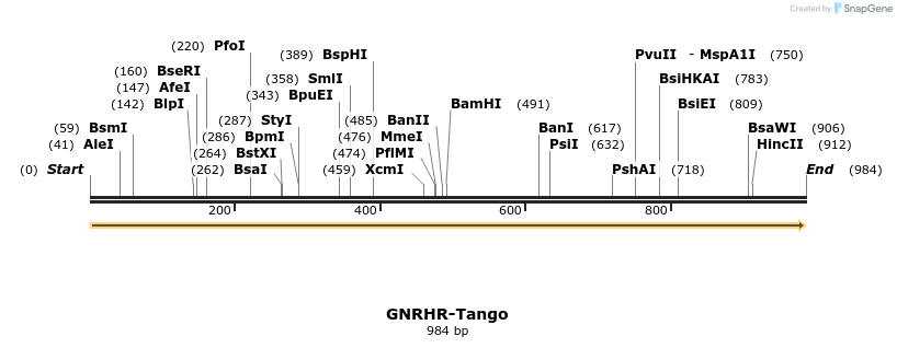 113208_map